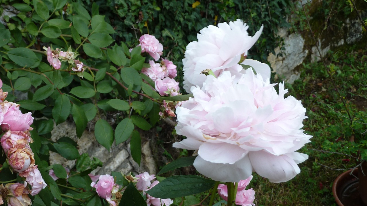 Photo of Outdoor in Serre di Rapolano