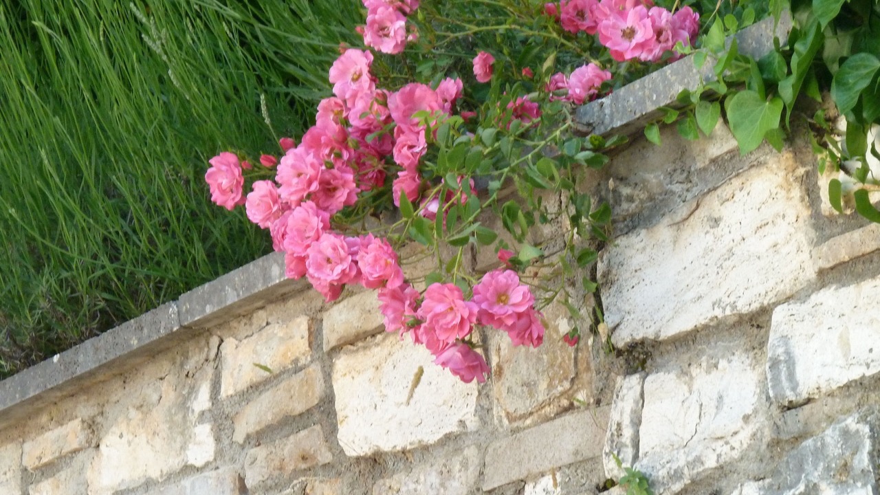 Photo of Outdoor in Serre di Rapolano