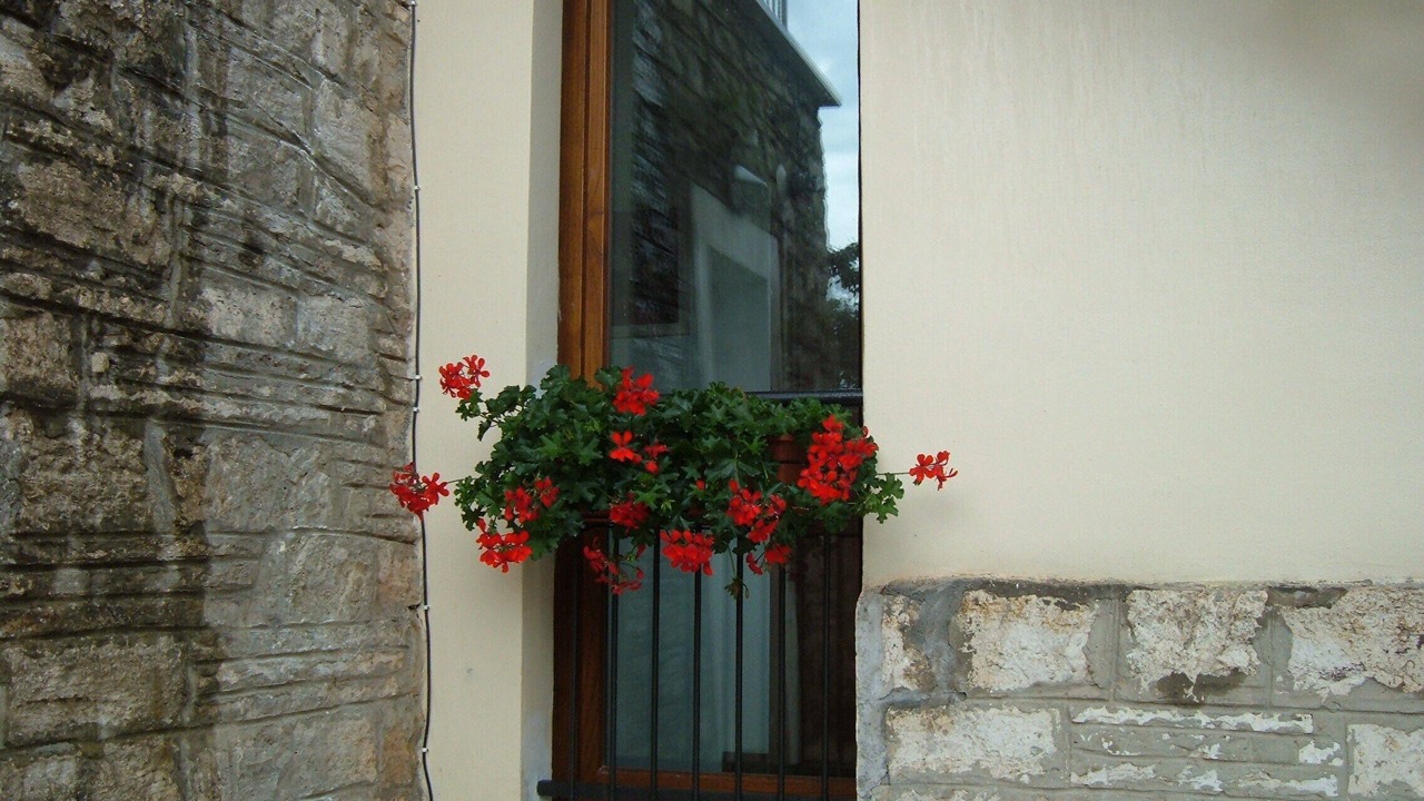 Photo of Outdoor in Serre di Rapolano