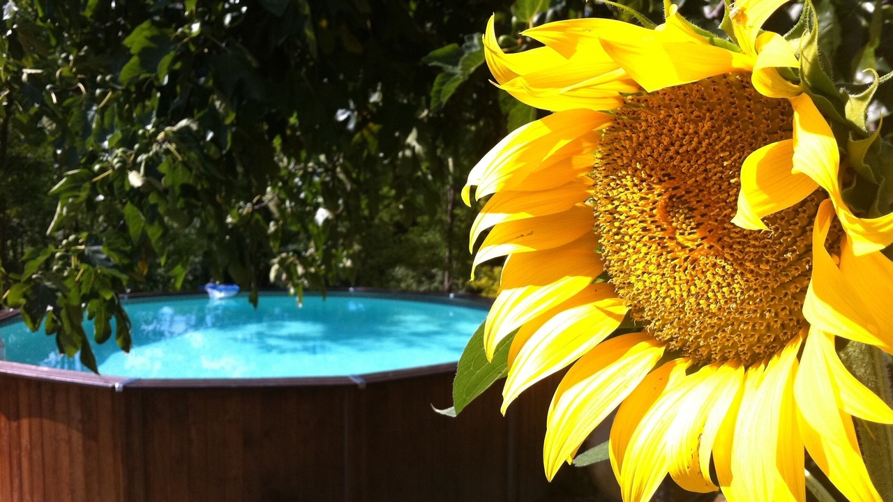 Photo of Outdoor in Amandola