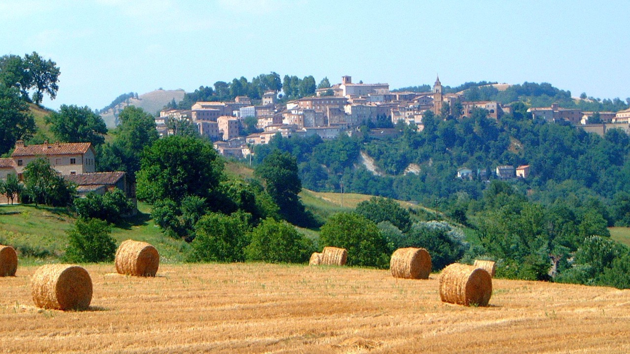 Photo of Others in Amandola