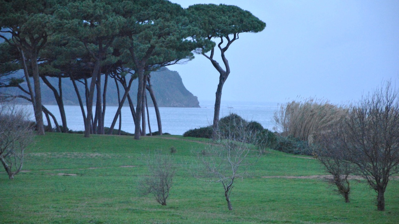 Photo of Others in Radicondoli