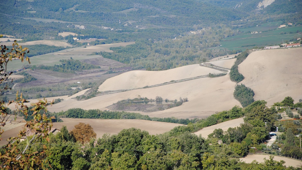 Photo of Others in Radicondoli