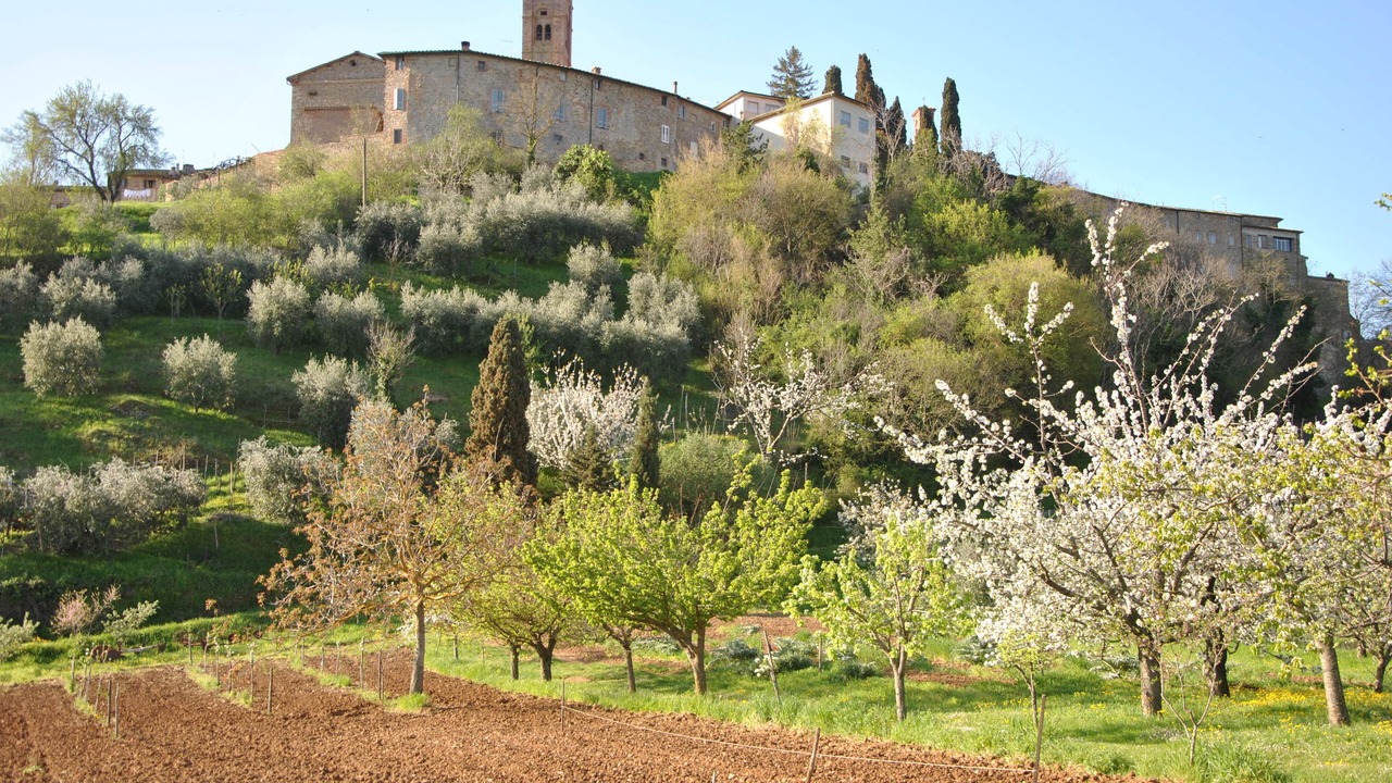 Photo of Others in Radicondoli