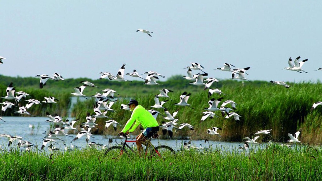 Photo of Outdoor in Lido delle Nazioni