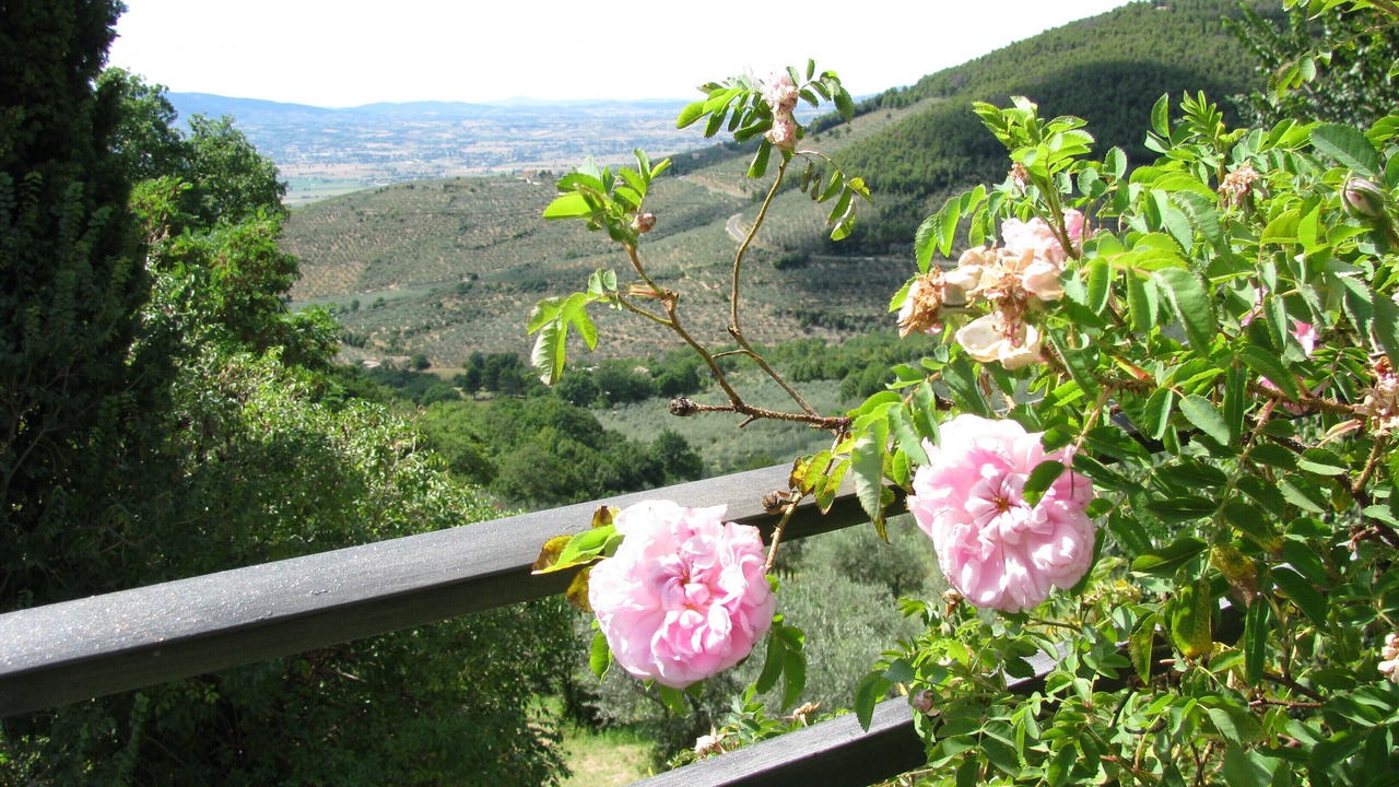 Photo of Outdoor in Bovara
