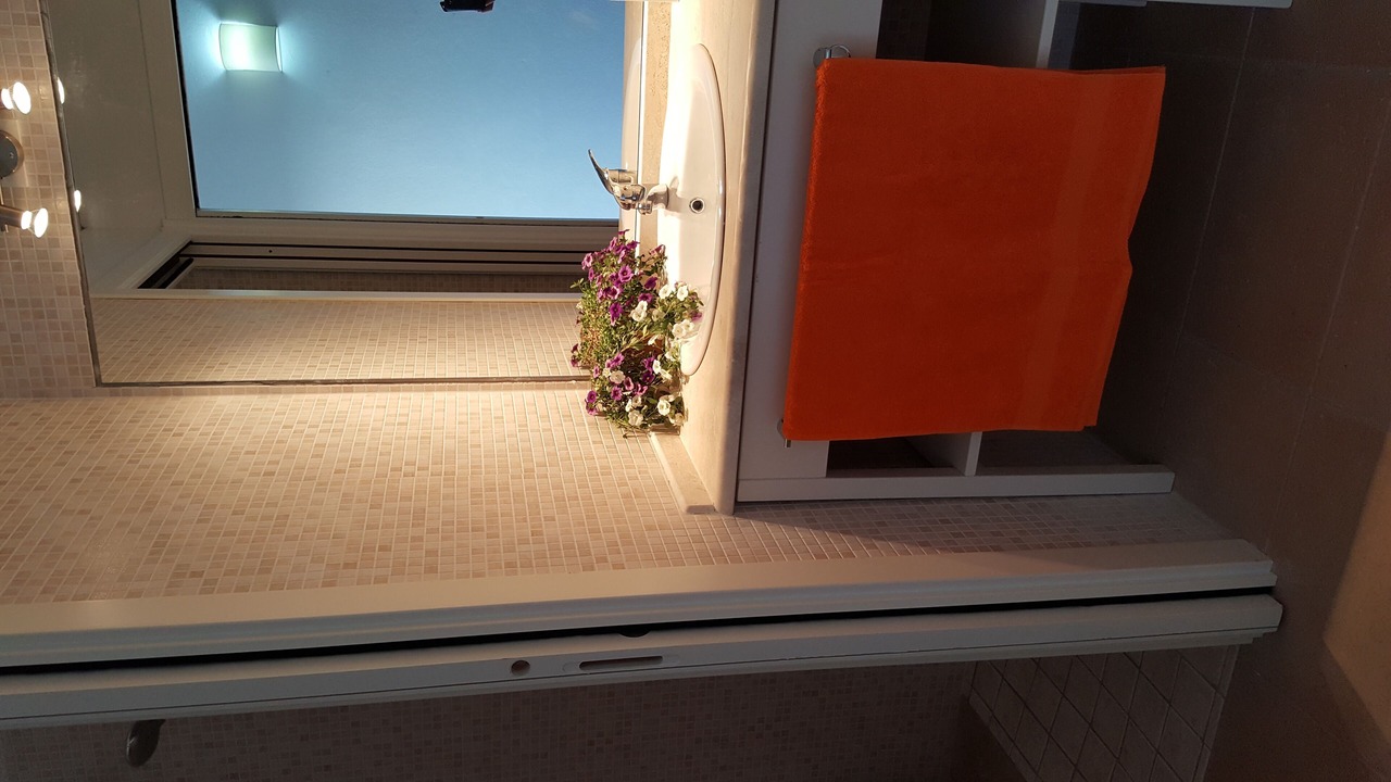 Photo of Bathroom in Giba