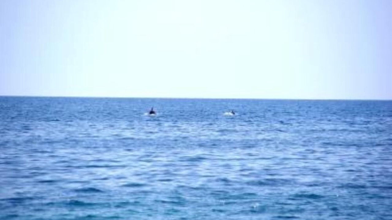 Photo of Others in Santa Marina