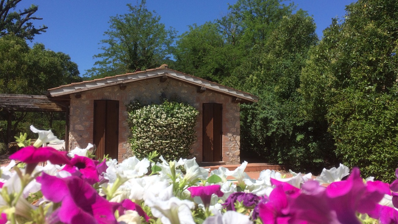 Photo of Outdoor in Chia