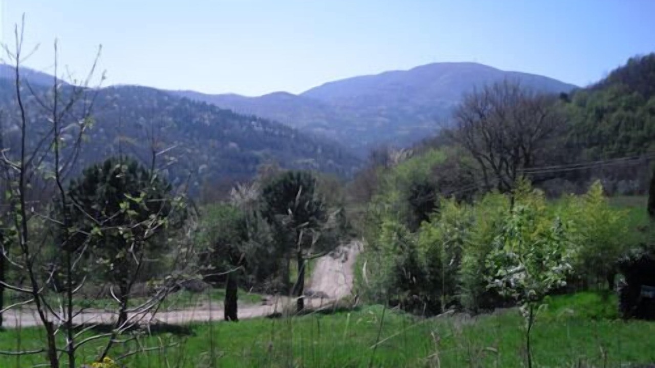 Photo of Outdoor in Montieri