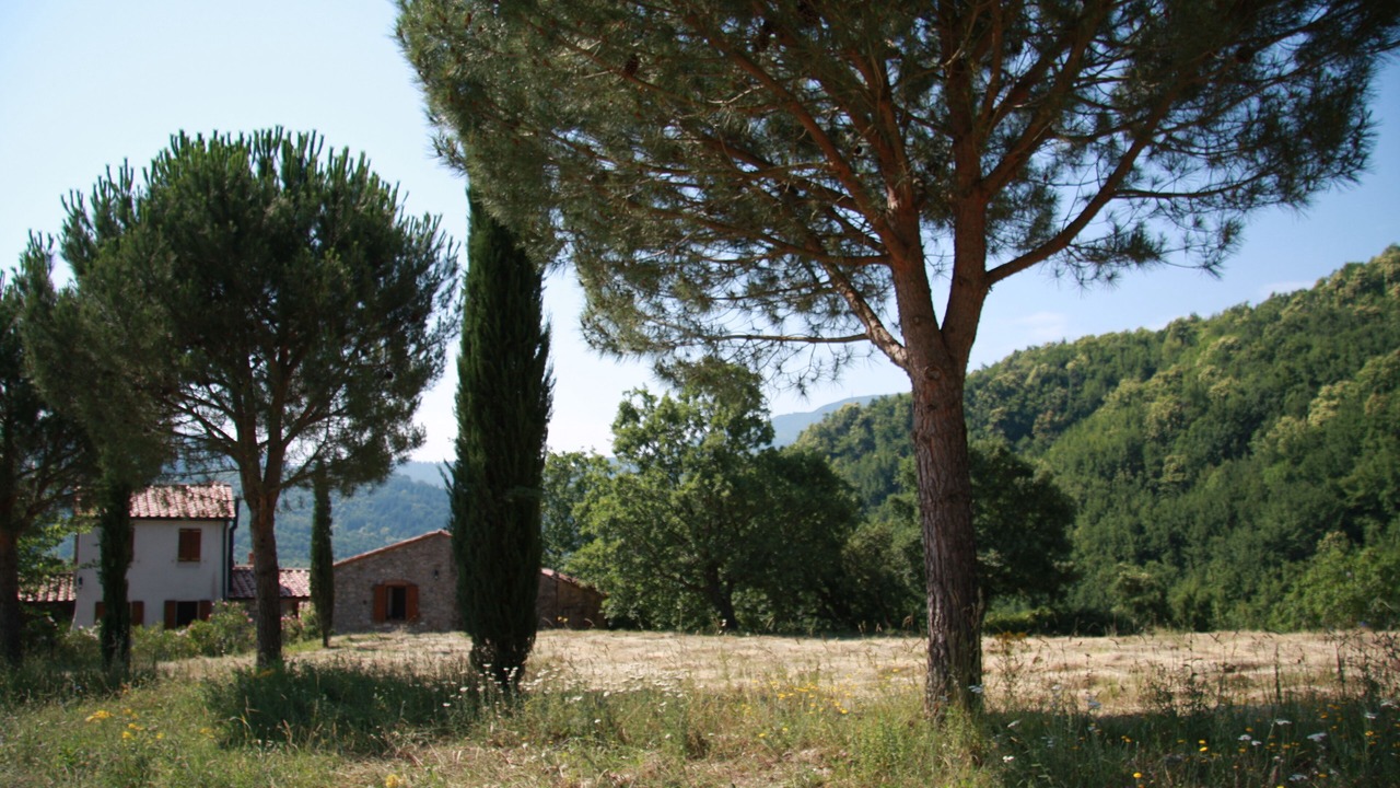 Photo of Outdoor in Montieri