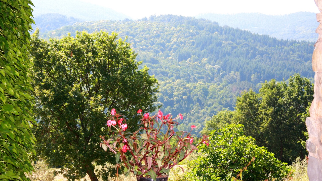 Photo of Others in Montieri