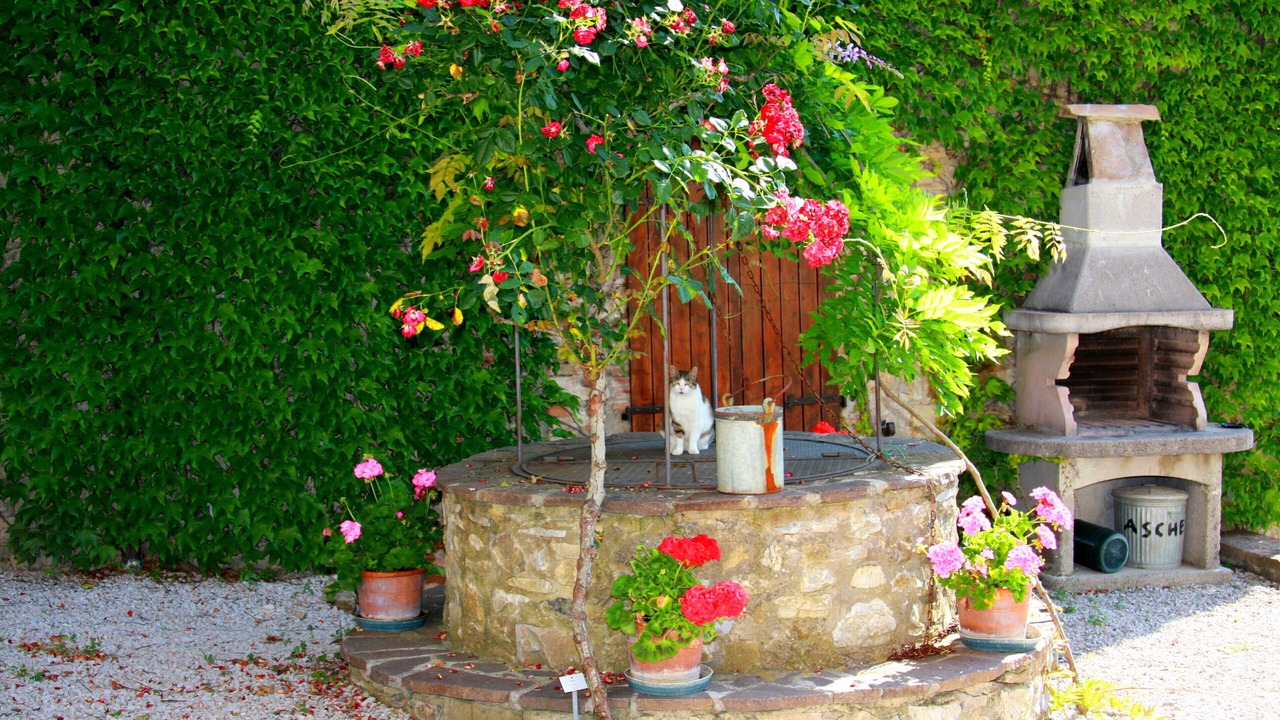 Photo of Outdoor in Montieri