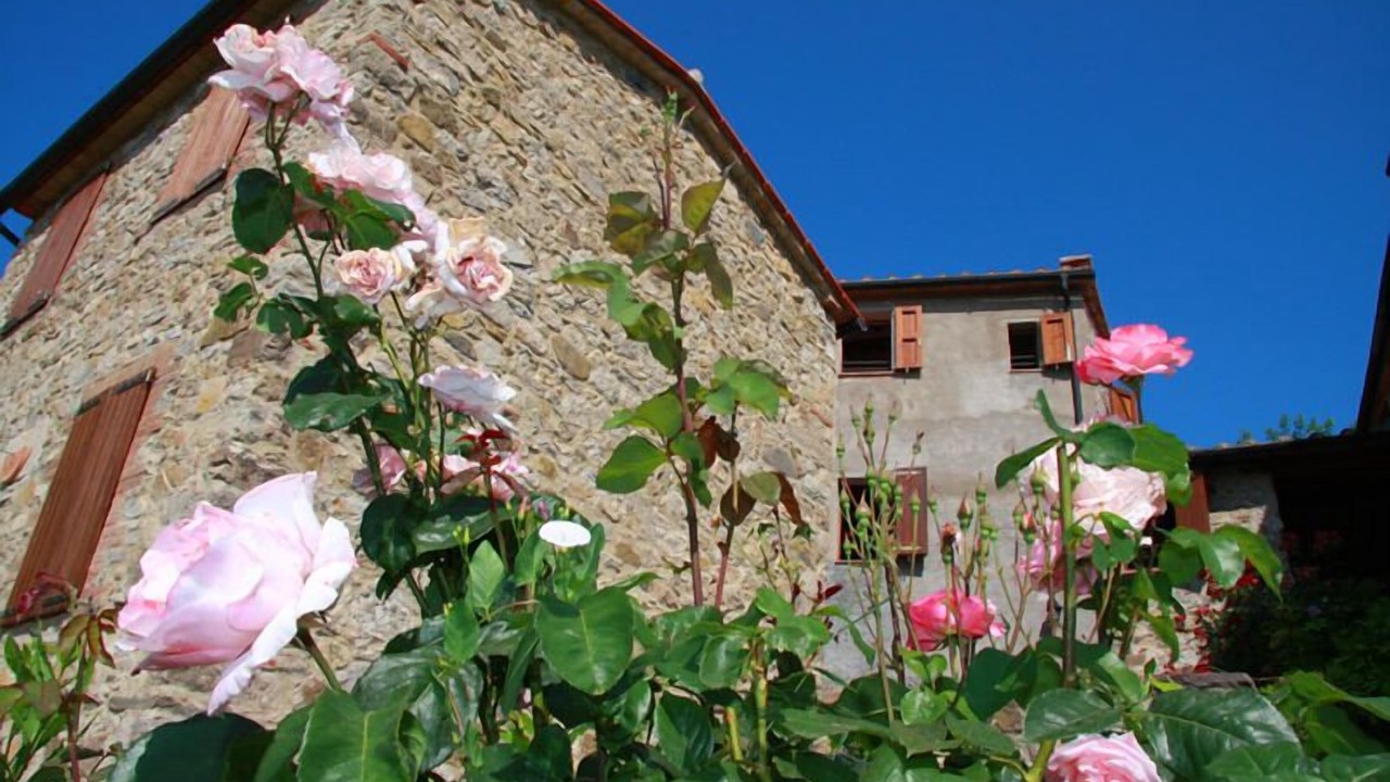 Photo of Outdoor in Montieri