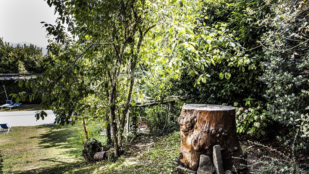 Photo of Outdoor in Castelnuovo di Garfagnana