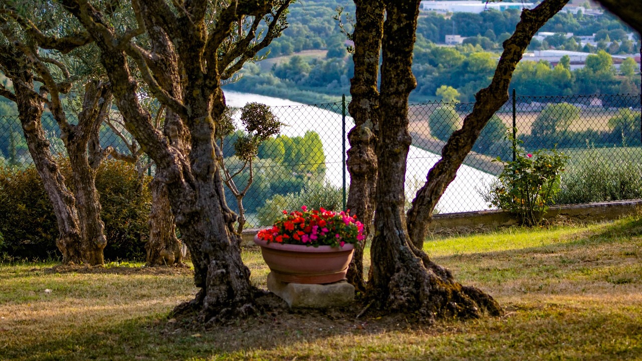 Photo of Outdoor in Tolentino