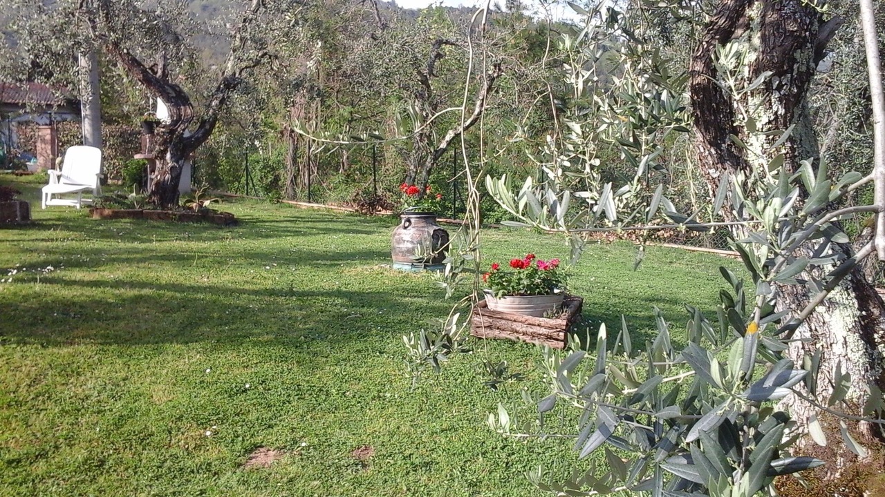 Photo of Outdoor in Marliana