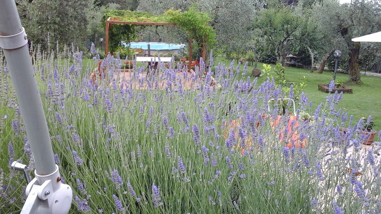 Photo of Outdoor in Marliana