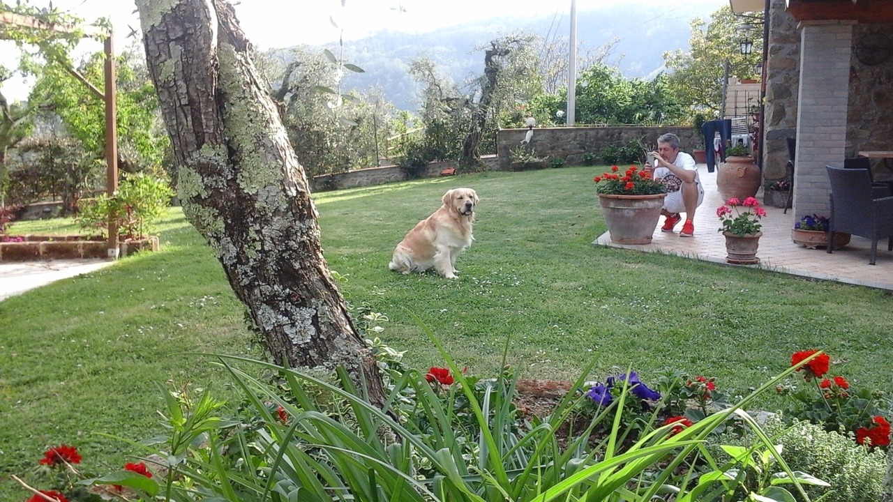 Photo of Outdoor in Marliana