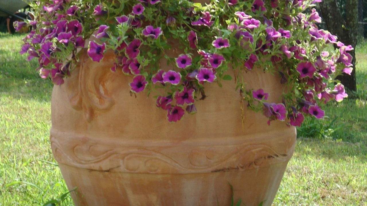 Photo of Outdoor in Marliana