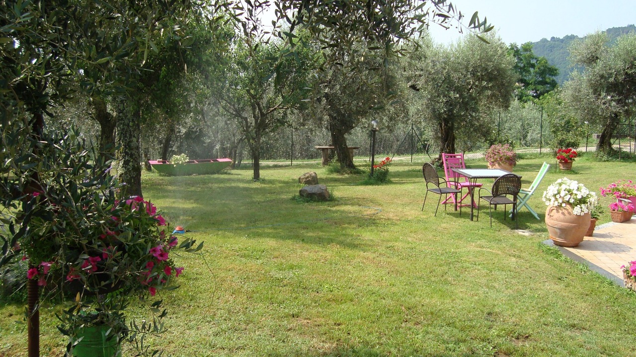 Photo of Outdoor in Marliana
