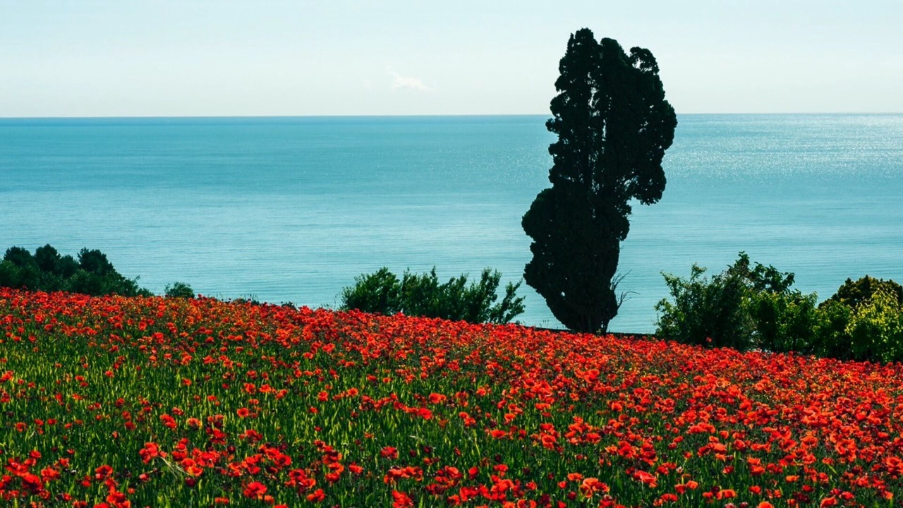 Photo of Others in Grottammare