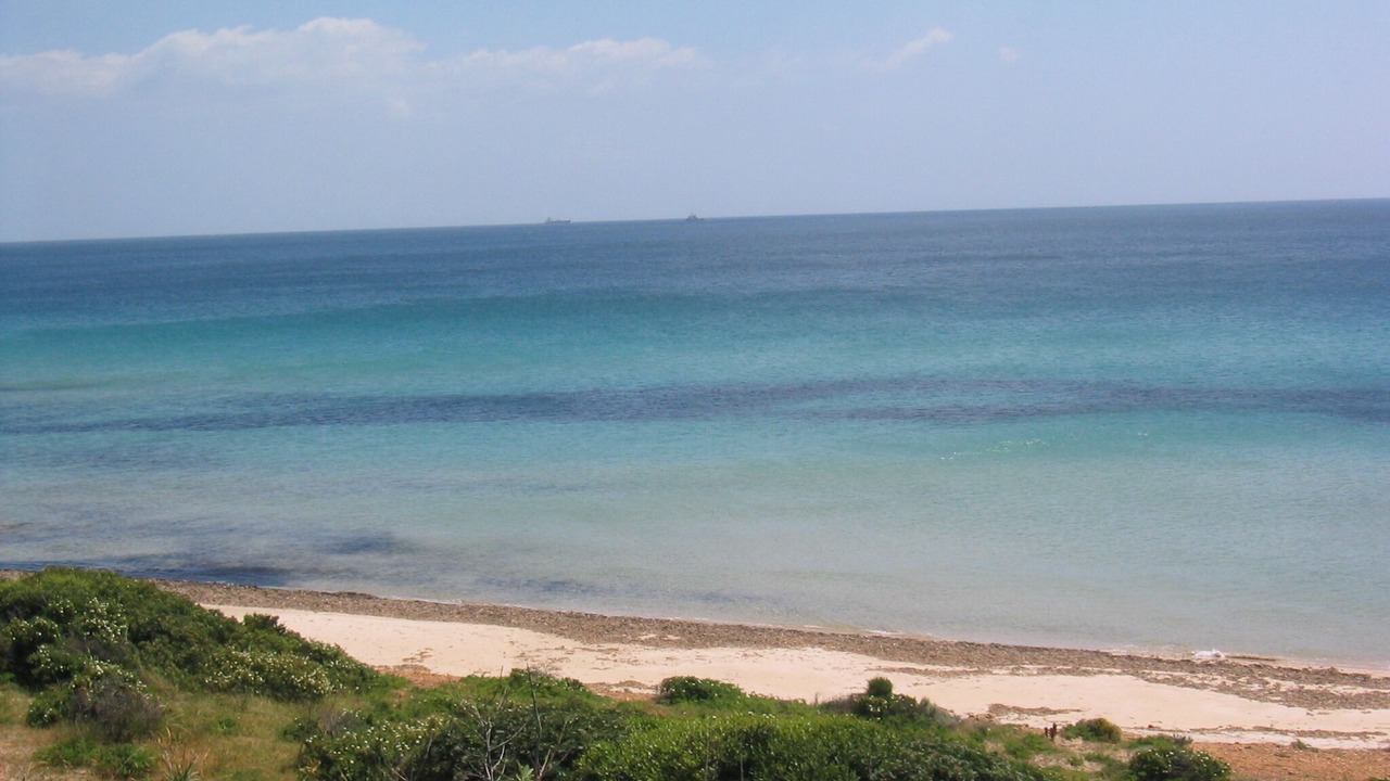 Photo of Others in Pula