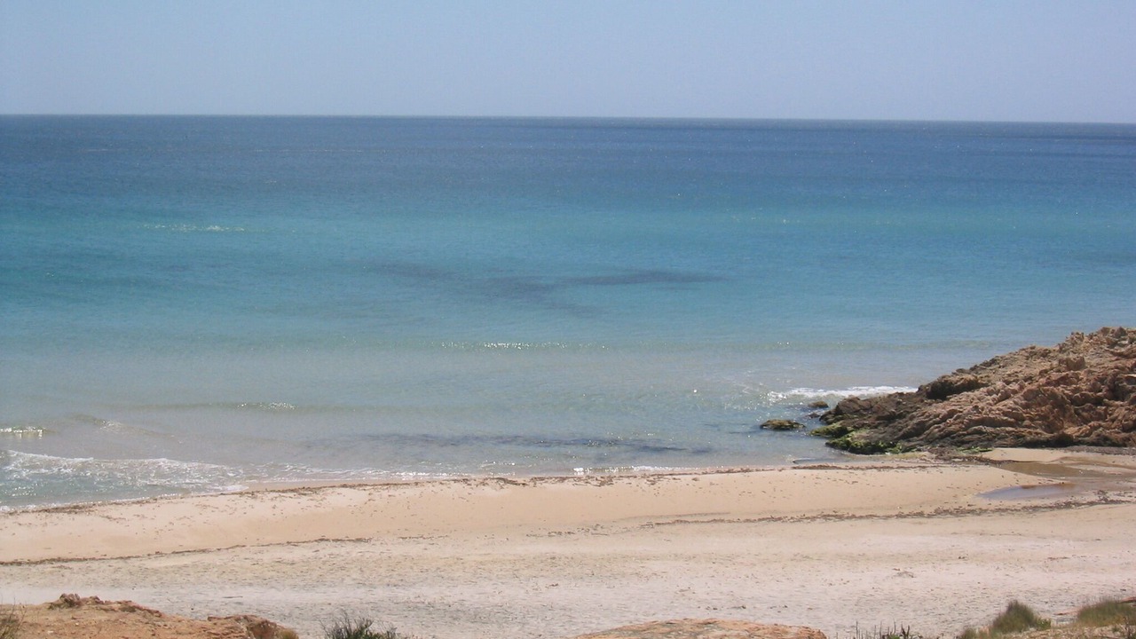 Photo of Others in Pula