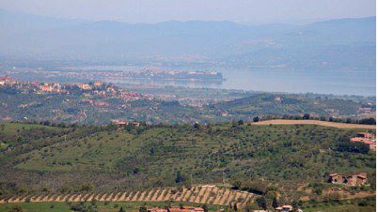 Photo of Outdoor in Paciano