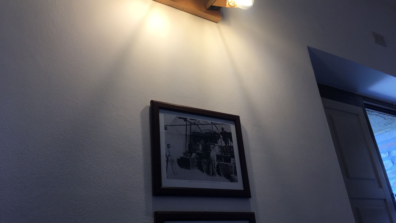 Photo of Others in Paciano