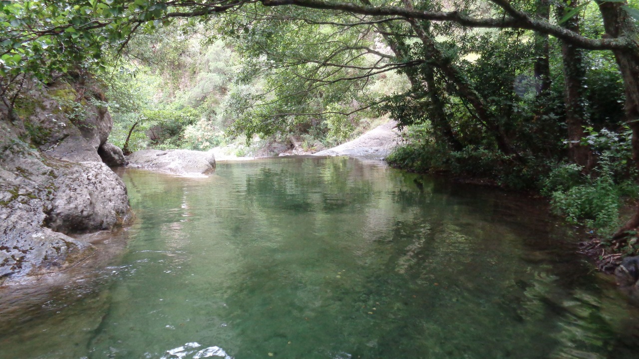 Photo of Others in Pigna