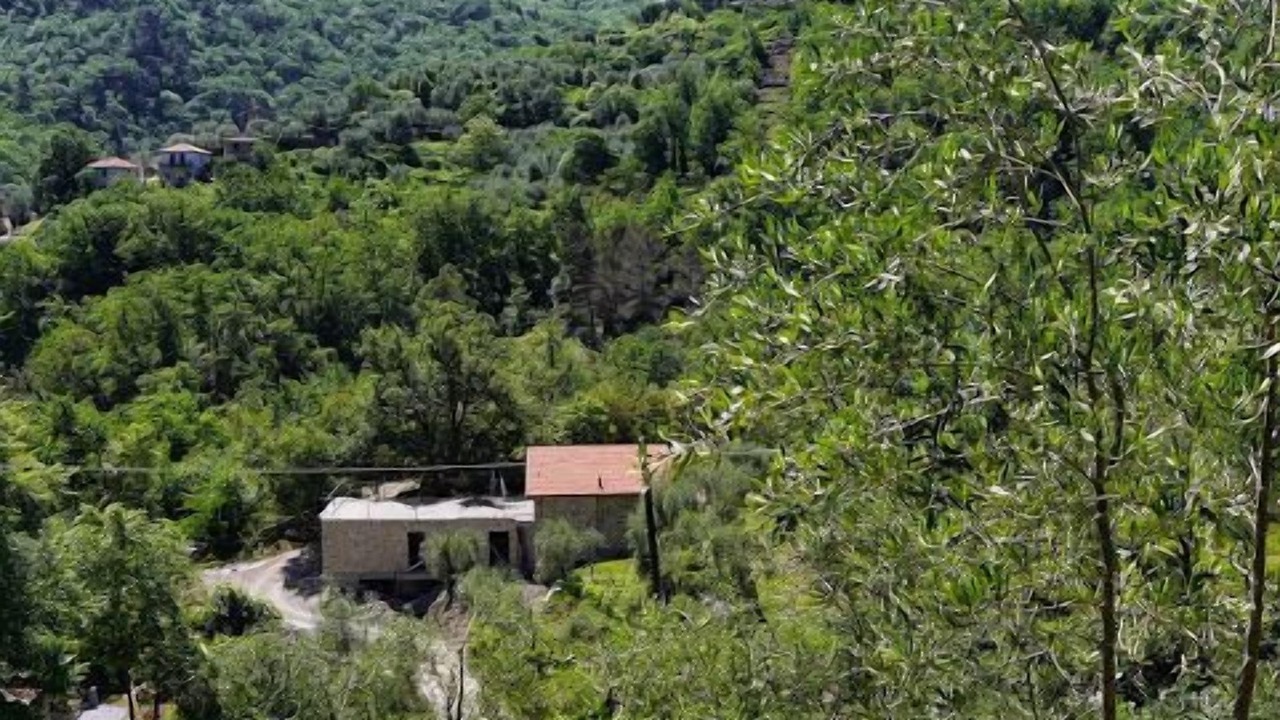 Photo of Outdoor in Testico
