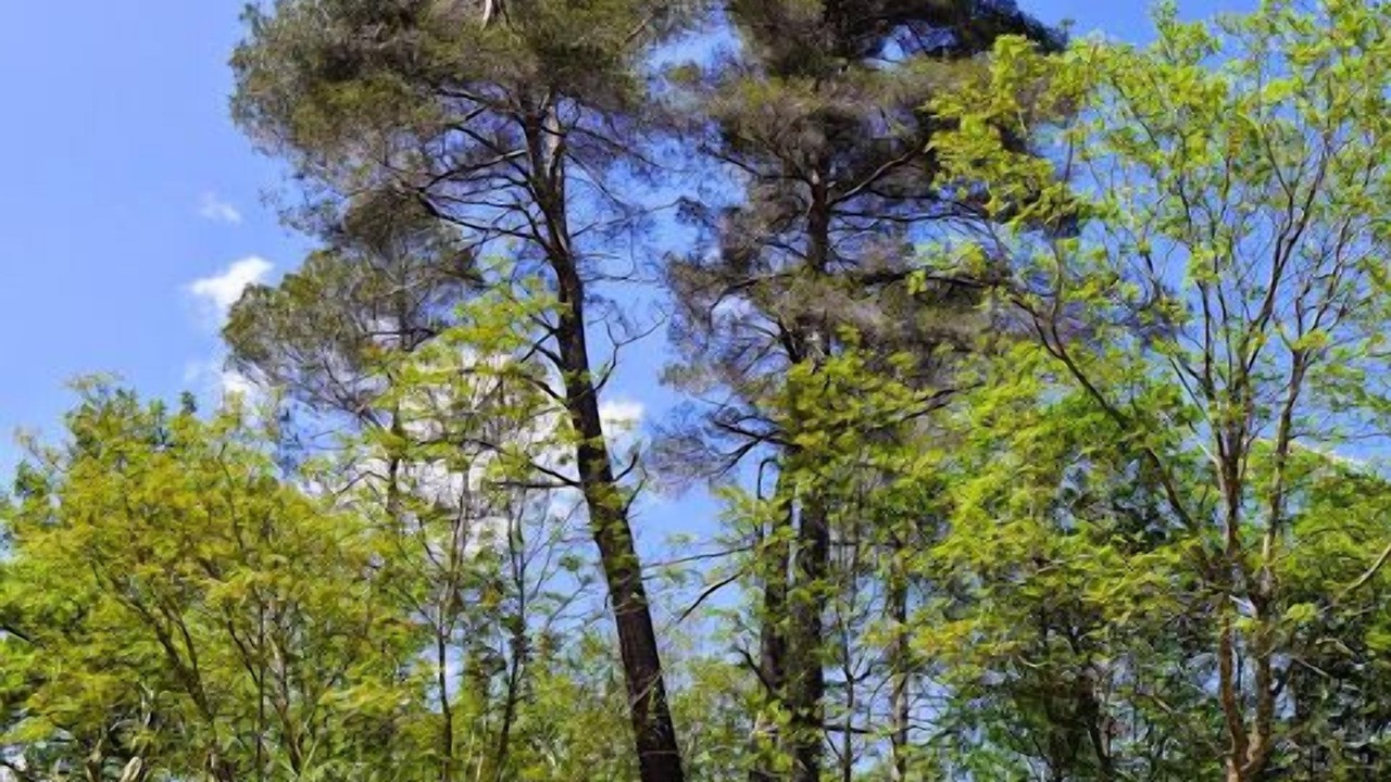 Photo of Outdoor in Testico