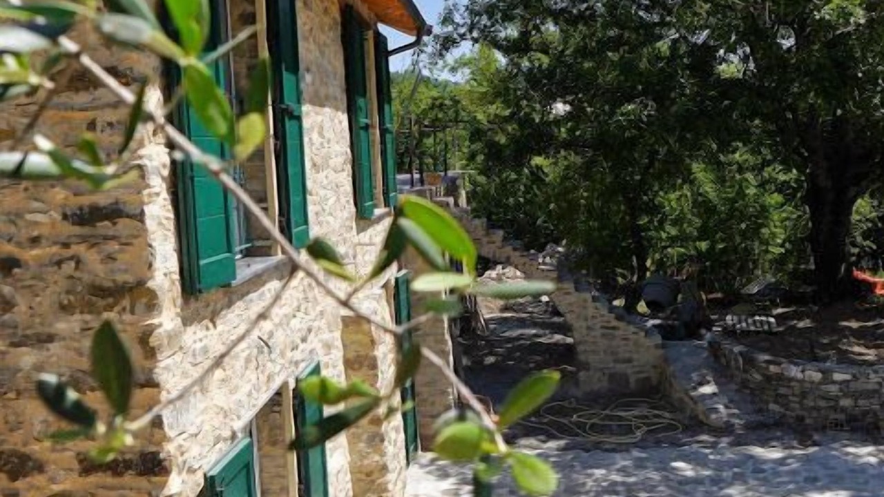 Photo of Outdoor in Testico