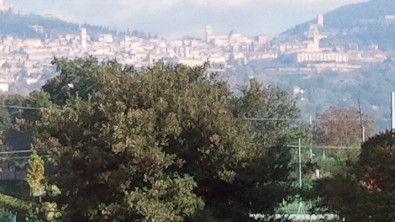 Photo of Outdoor in Santa Maria degli Angeli