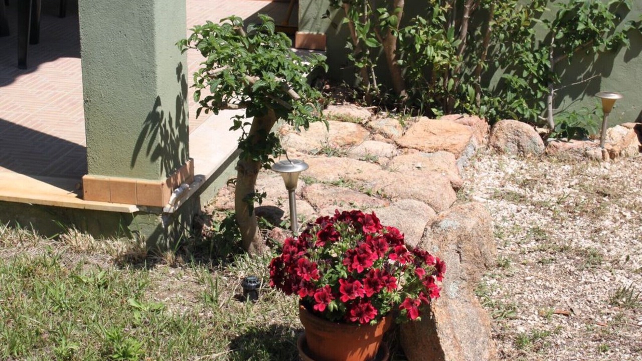 Photo of Outdoor in Orosei