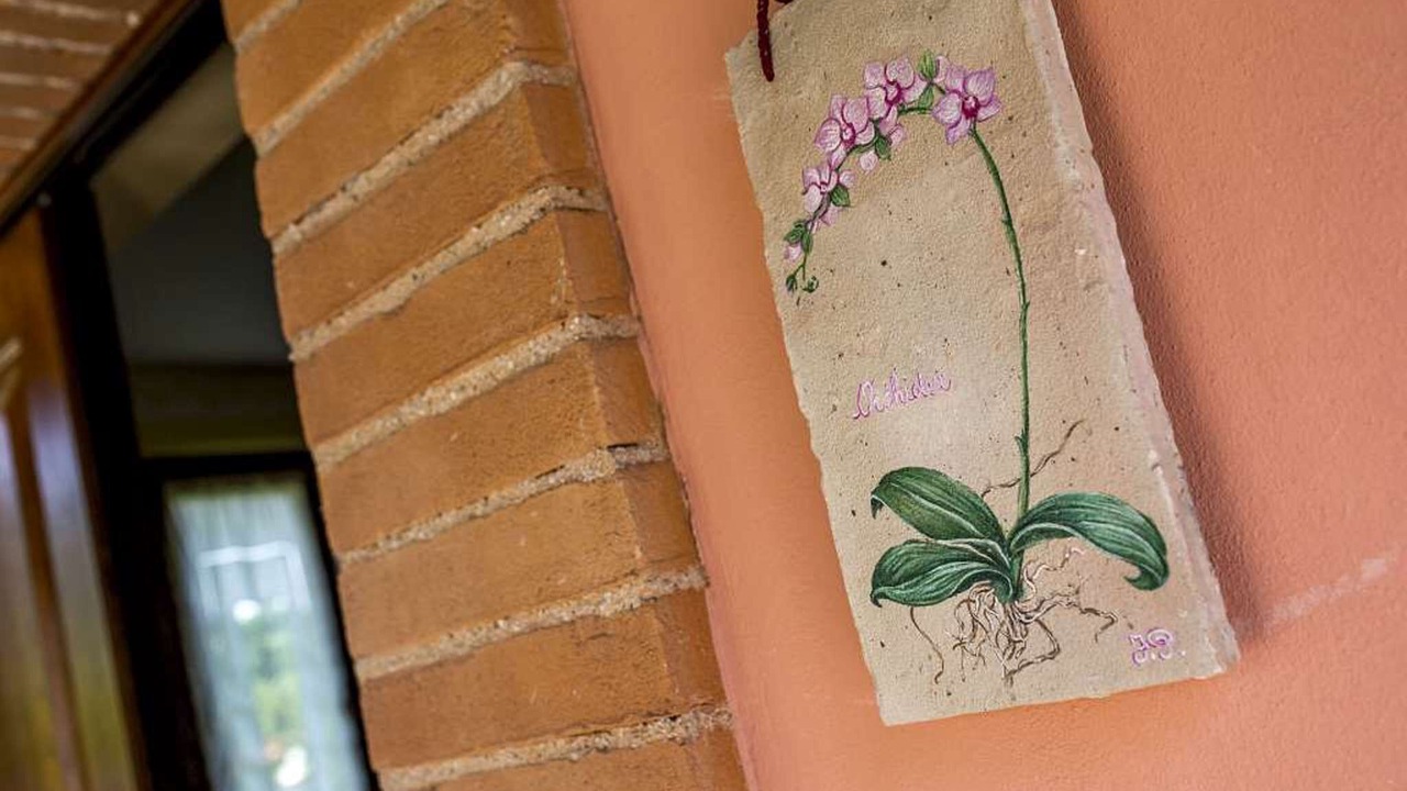 Photo of Outdoor in Crocemaroggia