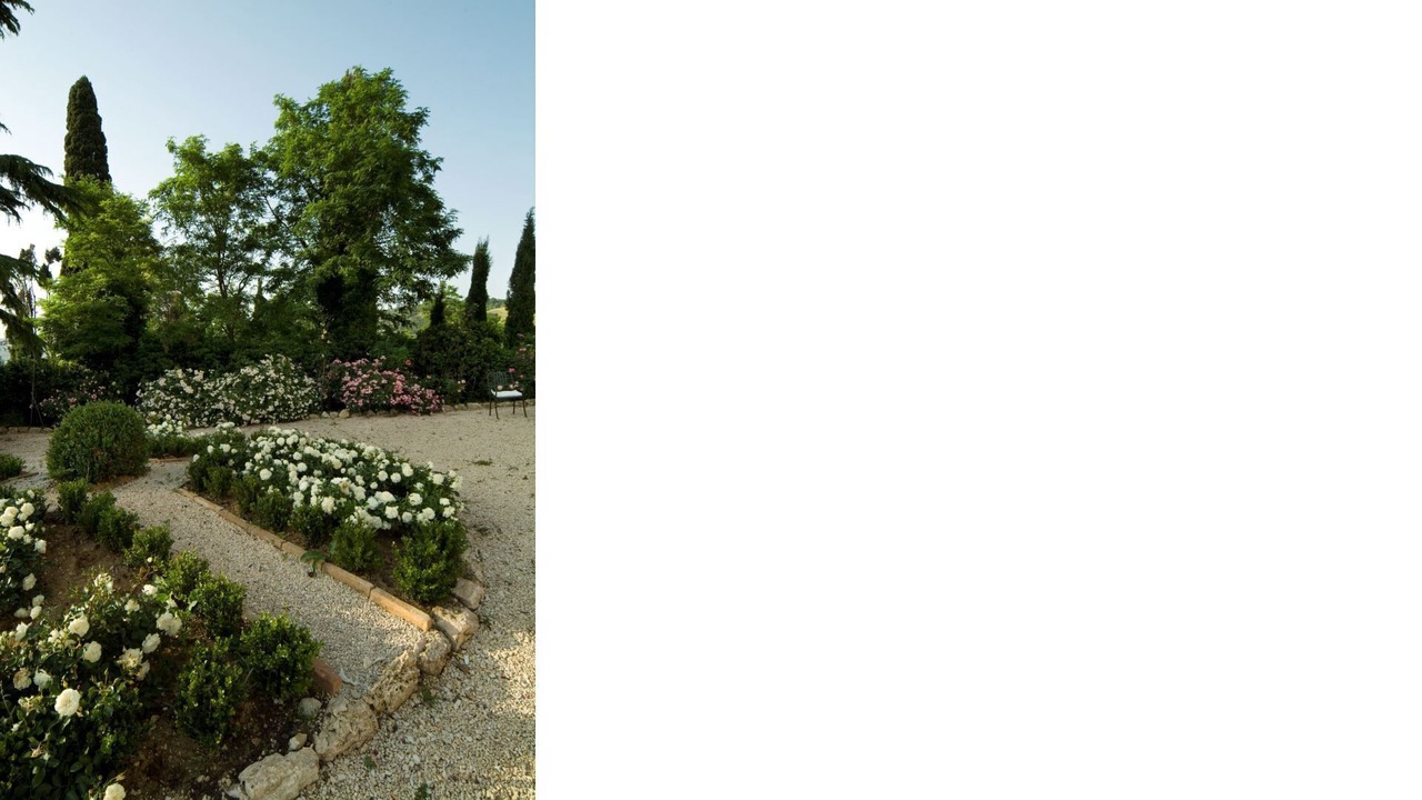 Photo of Outdoor in Loreto