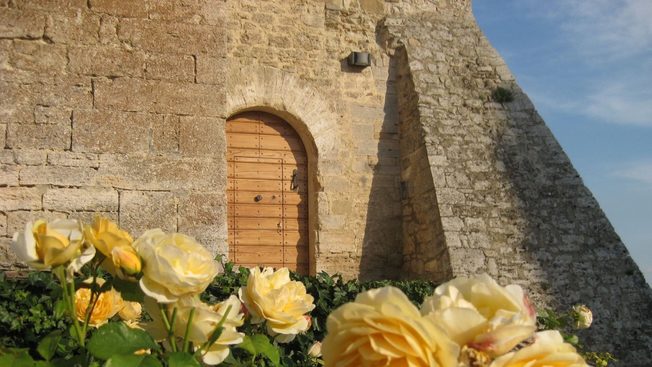 Photo of Outdoor in Loreto