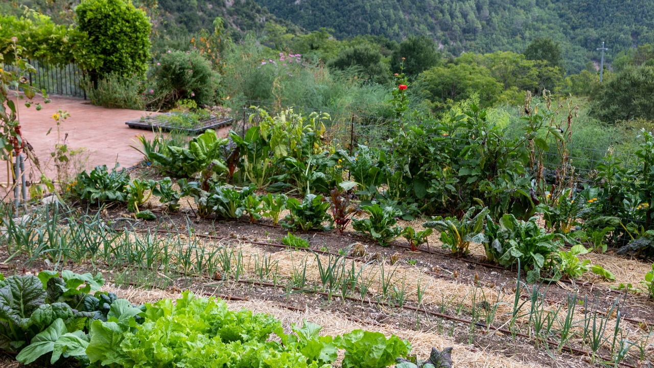 Photo of Outdoor in Vallo di Nera