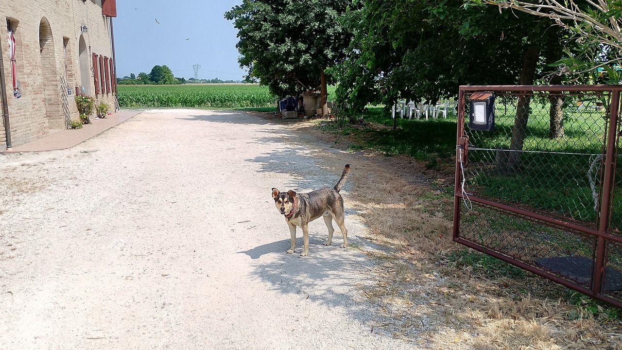 Photo of Outdoor in Massa Castello