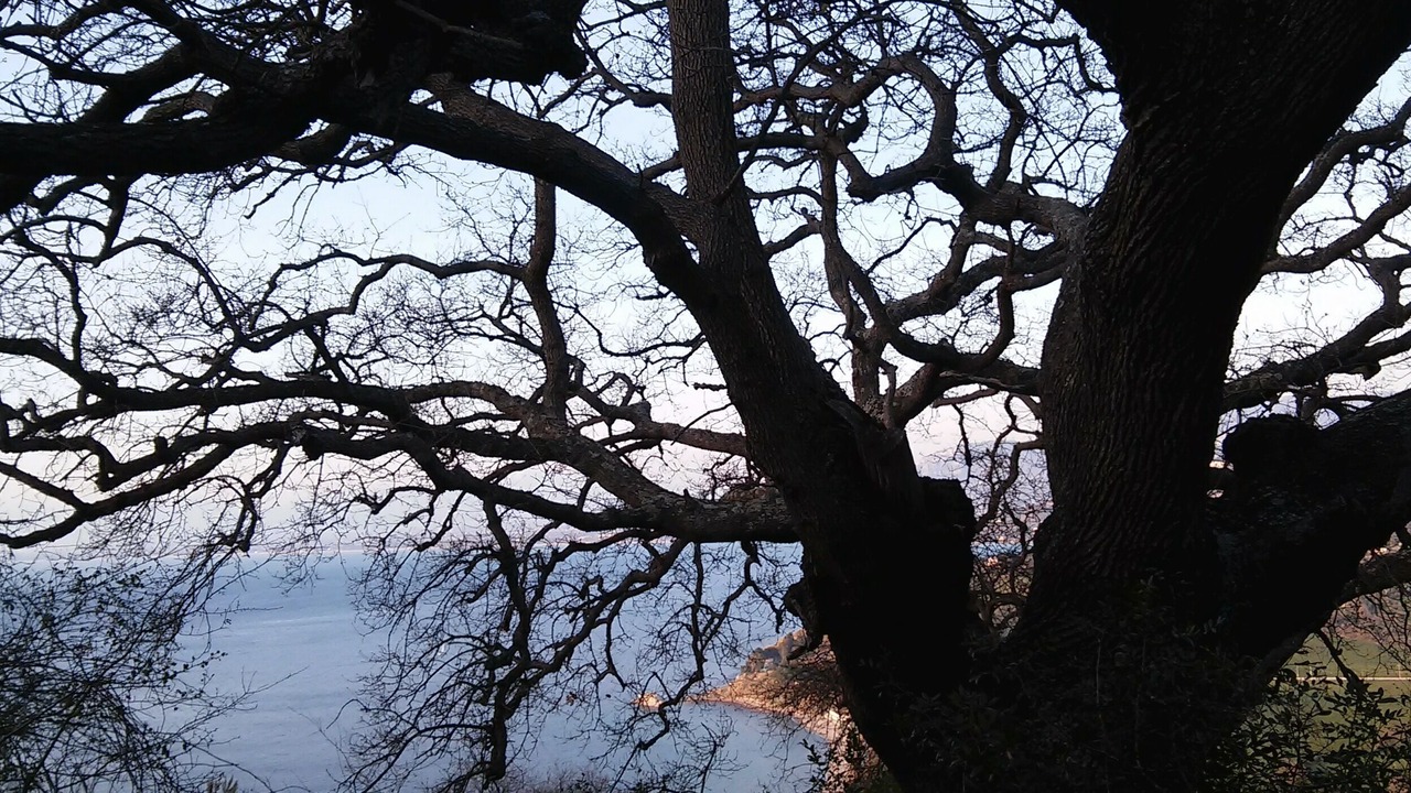 Photo of Outdoor in Frascinelle