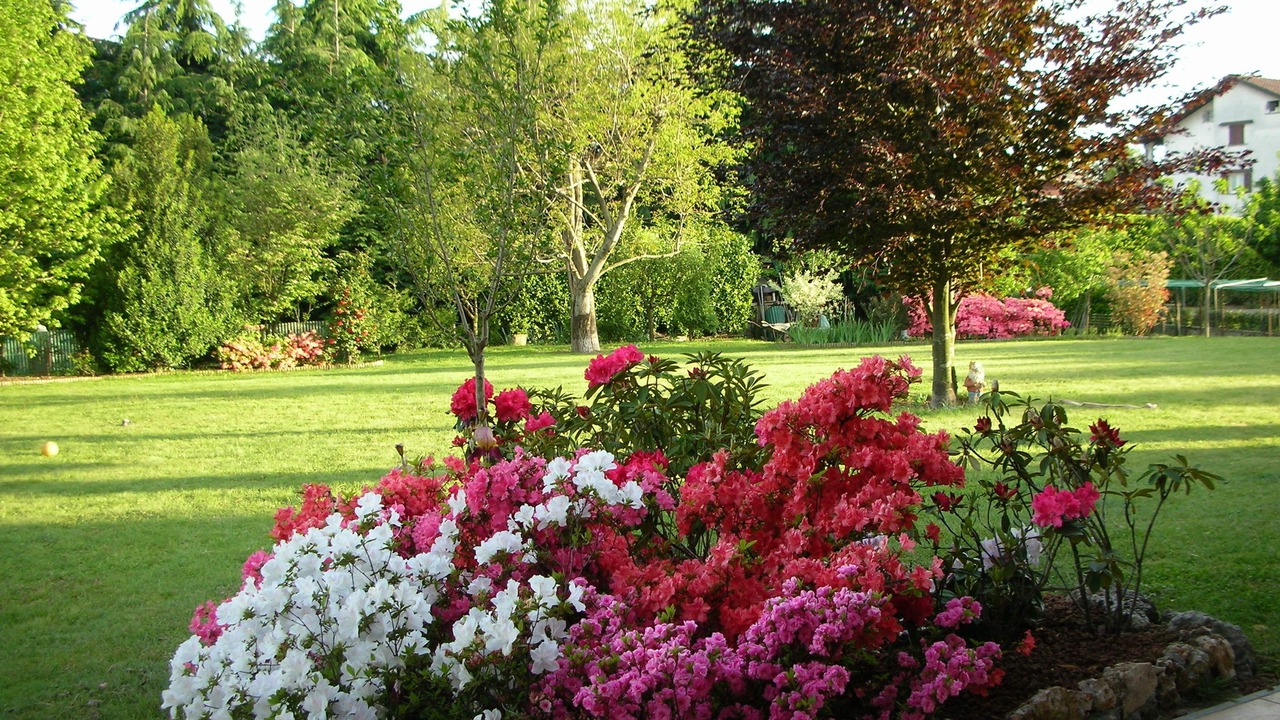 Photo of Outdoor in Borgo Ticino