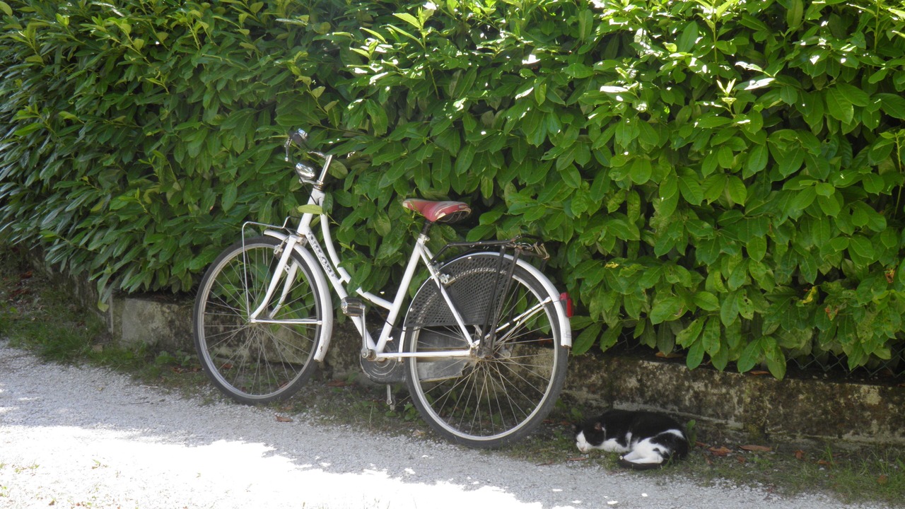 Photo of Outdoor in Monteluiano