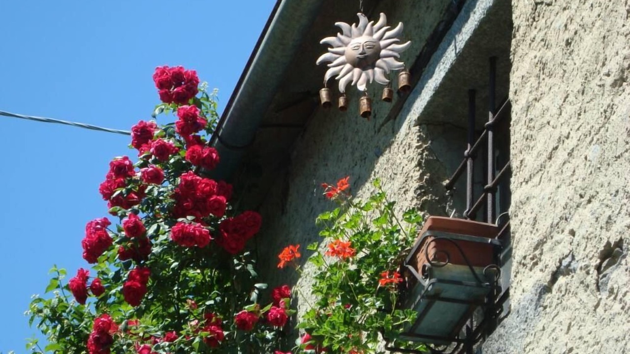 Photo of Outdoor in Domodossola