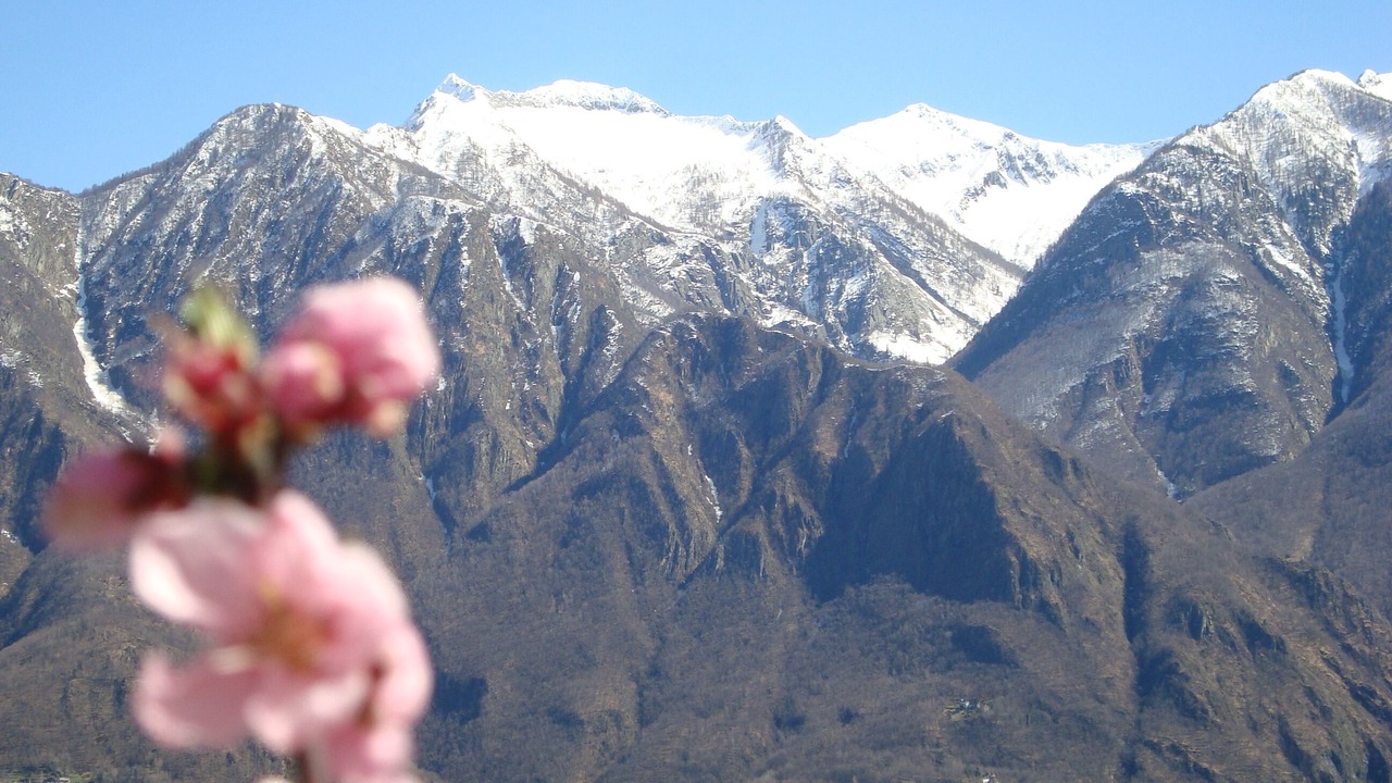 Photo of Others in Domodossola