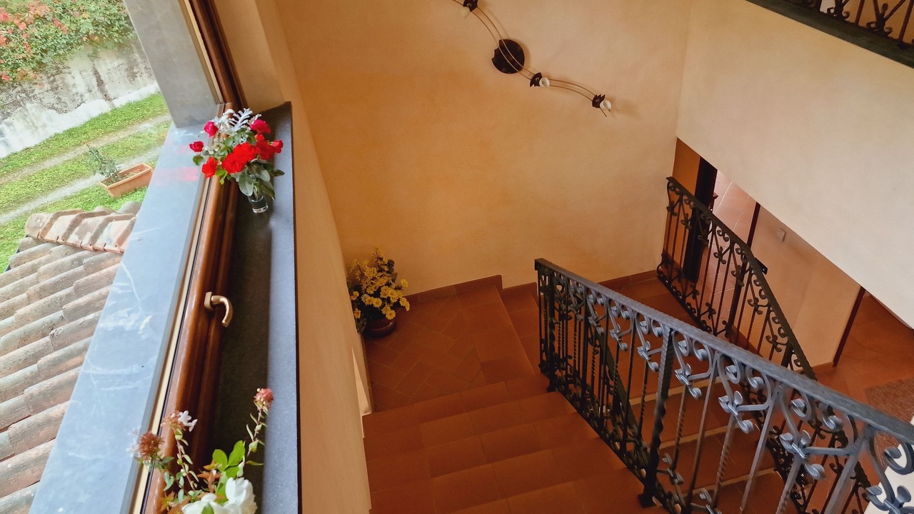 Photo of Others in Castelnuovo di Garfagnana