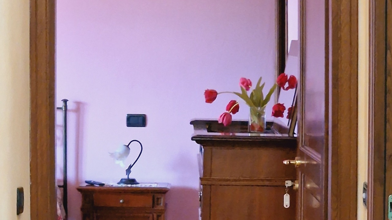 Photo of Others in Castelnuovo di Garfagnana