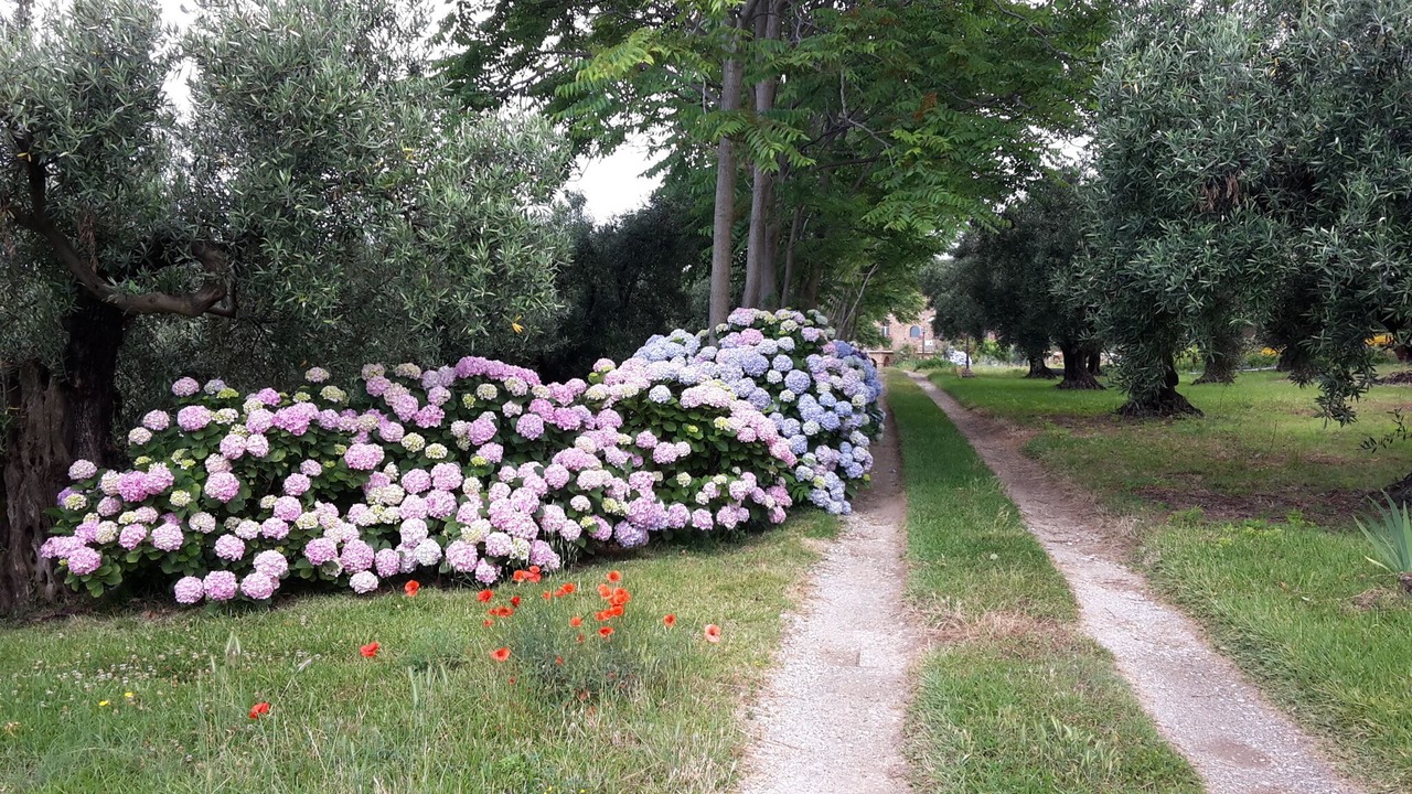 Photo of Outdoor in Gizzeria