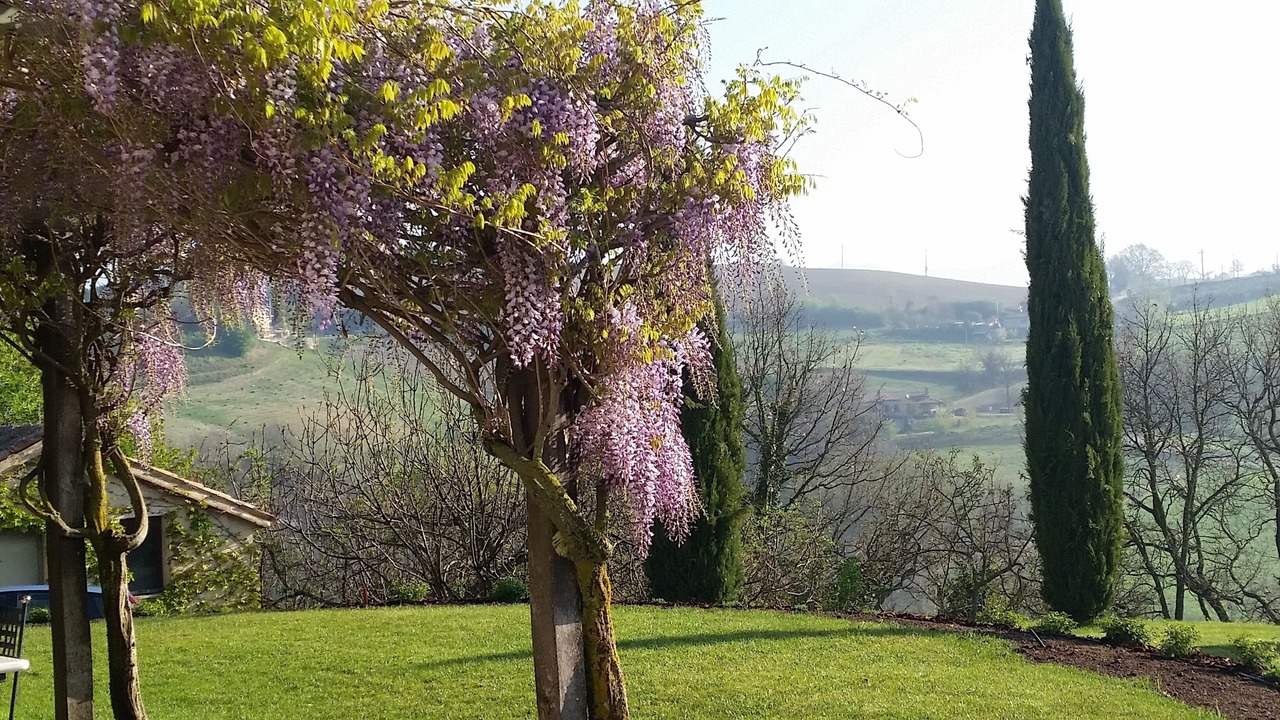 Photo of Others in Avigliano Umbrio